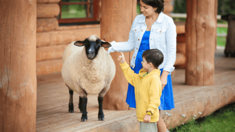 Picture of parent and child enjoying a petting zoo in Michigan.